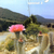 FREEZEHARDY OPUNTIA FROM THE USA by I. Richter