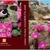 SULCOREBUTIA by Ladislav Horacek