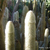 Espostoopsis dybowskii