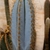 Pilosocereus azureus