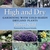 HIGH AND DRY: Gardening with Cold-Hardy Dryland Plants by Robert Nold