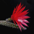 Disocactus speciosus 'stenopetalus' (Durango-Mazatlan)