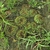Lobivia tiegeliana TB 861.1 (Cuesta de Sama, Erquis, Tarija, 2323m, Bol)