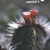 Brazil and its columnar cacti - 70 years after Werdermann. Kaktusy 2003 1 by Braun & Pereira