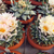 Ariocarpus retusus ssp. scapharostroides HO 732 (Rio Verde, SLP)